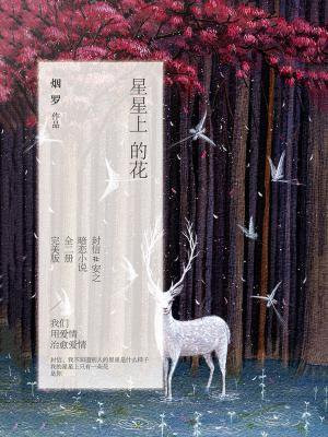 星星上的花(共2册)
