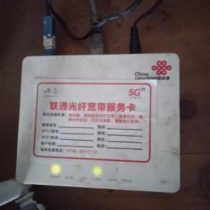 小白