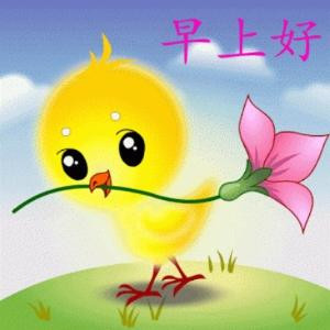 宝宝