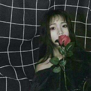 笨笨的傻瓜