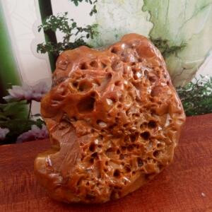无聊的书虫