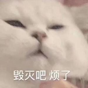 辞兔
