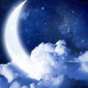 夜夜