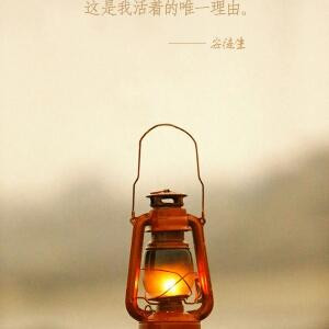 风中舞