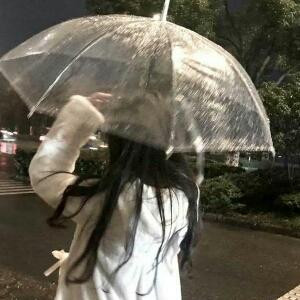 优雅的猪