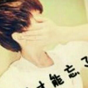 阿尔卑斯