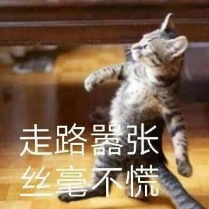 凌雨