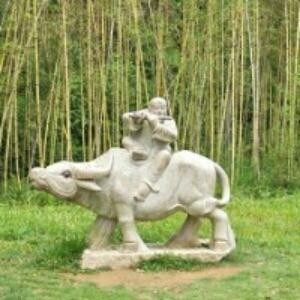 天上人间