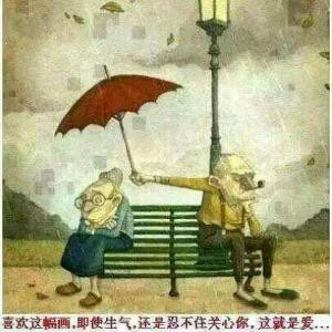 燕子宝贝