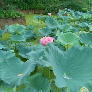 xian