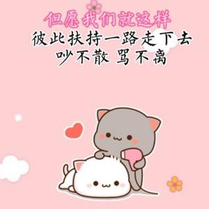 卖菜哥