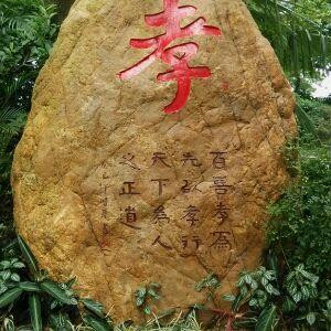 心痛:)谁懂