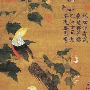 i51阅在其中