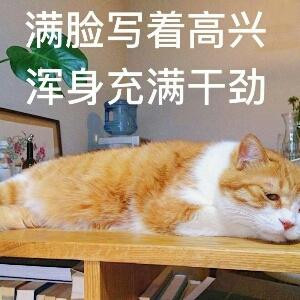 笑癌晚期患者