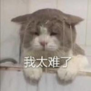 陌;F°