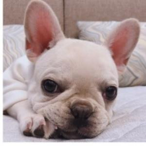 年少轻狂最情深