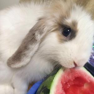 飒飒飒尼美