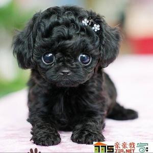 美好