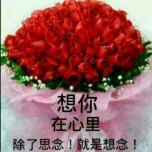 双儿