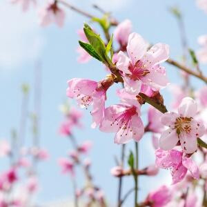 汤达人方便面