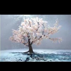 风萧萧兮易水寒