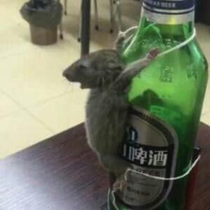 就是我