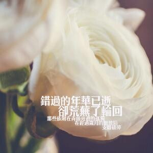 南南