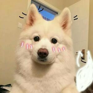 初心