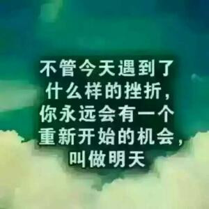 飞翔的雄鹰