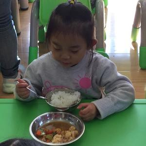 麻雀西北飞