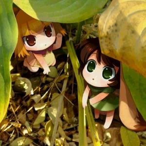 深夏凉巷