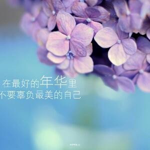 凌漾