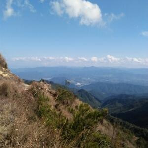 林秦