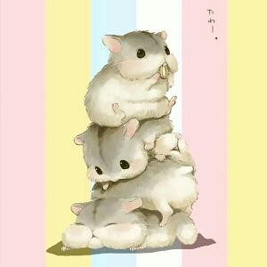 亲爱宝贝