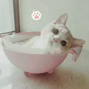 胖了又瘦了