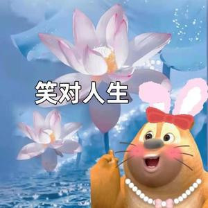 折絮