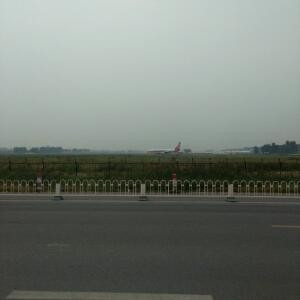 代售香烟11