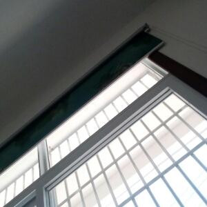 没看见啊