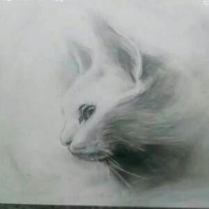 晓晓