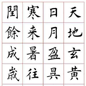 书蠹