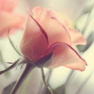 loveforever
