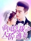 帝国总裁的天价逃妻
