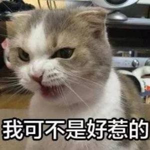 锦瑟r