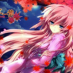 樱花浅浅