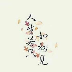 盛世长安