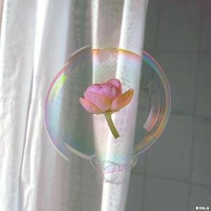阳光下的泡沫
