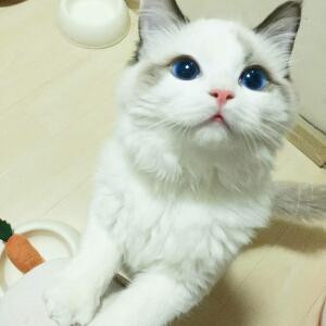 Hy