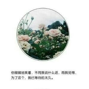 念念不忘