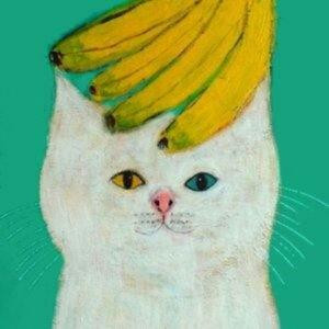 薄荷猫