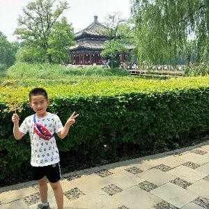 杨柳